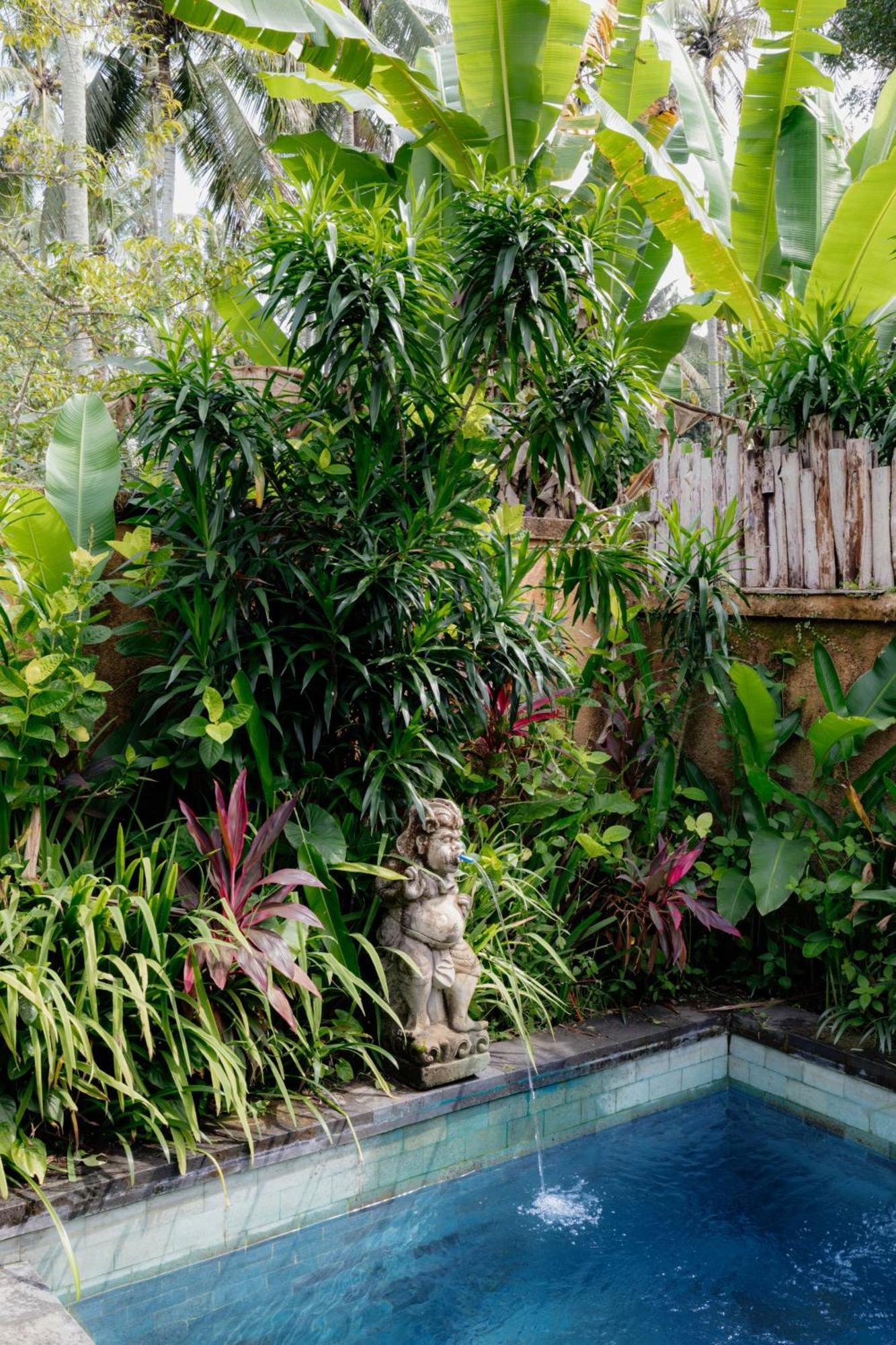 Zone * Ubud